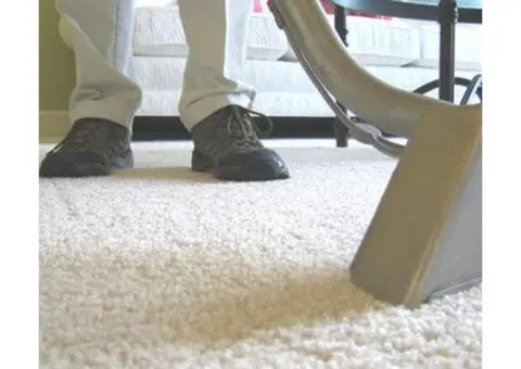 Professional Carpet Cleaning Services in Melbourne – Fresh & Spotless Carpets