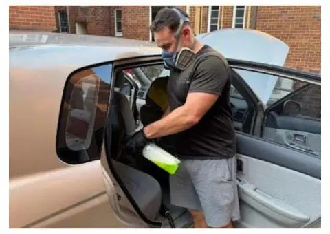 Best Mould Removal Car Sydney – Restore Your Cars Freshness - 1/4