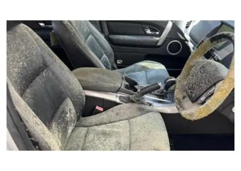 Car Mould Removal Near Artarmon - 1/4