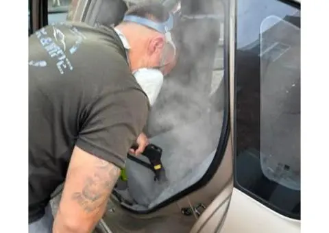 Car Mould Removal Near Artarmon - 3/4