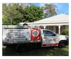Reliable Pest Control Services in Brisbane