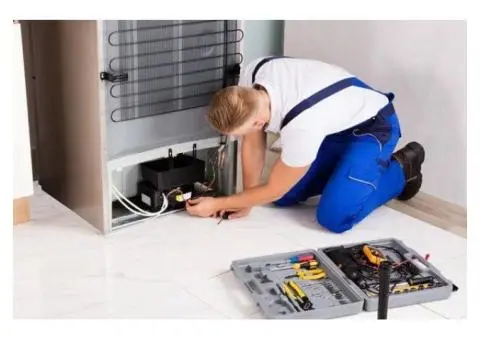Fast and Reliable Refrigerator Technicians in Sydney