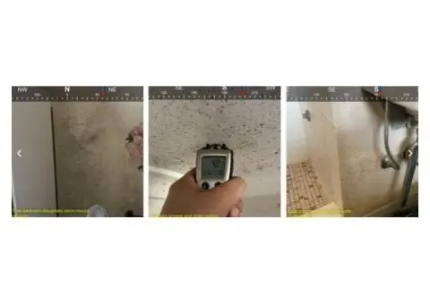 Sydney Mould Removal Services: What to Expect in 2025