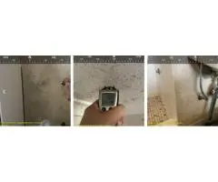 Sydney Mould Removal Services: What to Expect in 2025
