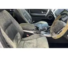 Car Mould Cleaner in Naremburn