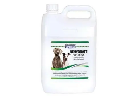 Vetsense Rehydrate: Essential Hydration for Dogs