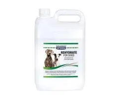 Vetsense Rehydrate: Essential Hydration for Dogs