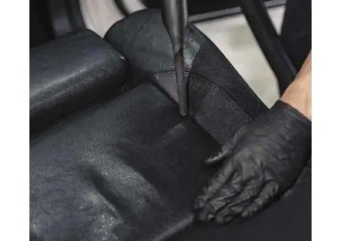 Trusted Car Mould Cleaner in Naremburn – Wax & Wipe Experts