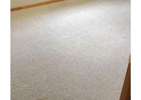 Deep Clean Your Carpets with Professional Steam Cleaning in Canberra