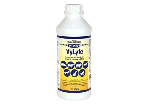 Vetsense Vylyte: Oral Rehydration for Dogs