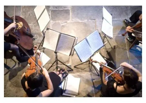 String Quartet Melbourne – Refined Elegance for Every Occasion