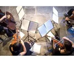 String Quartet Melbourne – Refined Elegance for Every Occasion