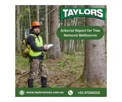Arborist Report for Tree Removal Melbourne | Taylors Tree and Stump Removal