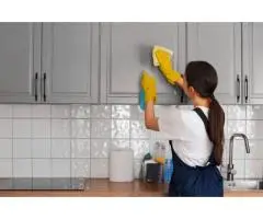 Professional House Washing in Northern Beaches