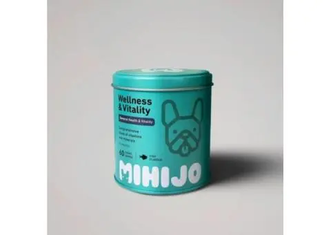 Multivitamin Supplement for Dogs: Complete Wellness in Every Bite