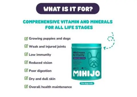 Multivitamin Supplement for Dogs: Complete Wellness in Every Bite - 2/2