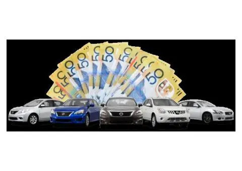 Kangaroo Cash For Car Removals