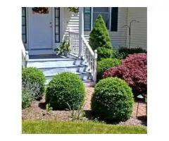 Soil Guidance for Healthier Gardens in Mordialloc and Brighton