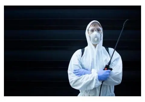 Termite Barrier Gold Coast – Protect Your Home Today!