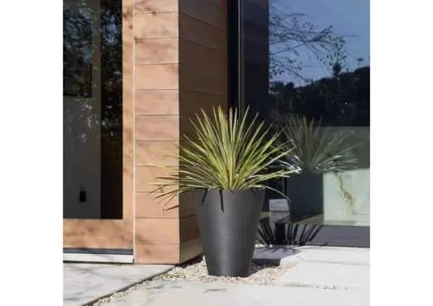 Add Instant Character With Artificial Hanging Plants Online