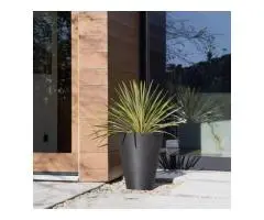 Add Instant Character With Artificial Hanging Plants Online