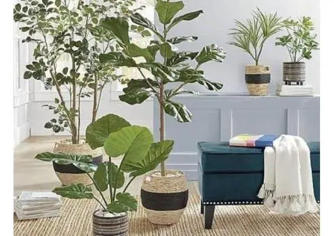 Order Artificial Plants Wholesale Near Melbourne Without Sacrificing Style