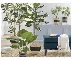 Order Artificial Plants Wholesale Near Melbourne Without Sacrificing Style