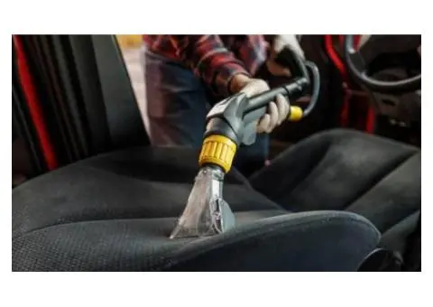 Professional Car Mould Removal in Sydney for a Fresh - 1/4