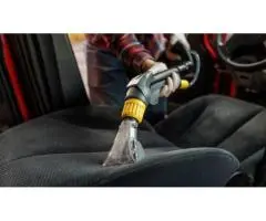 Professional Car Mould Removal in Sydney for a Fresh