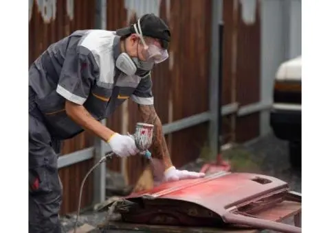 Professional Car Mould Removal in Sydney for a Fresh - 2/4