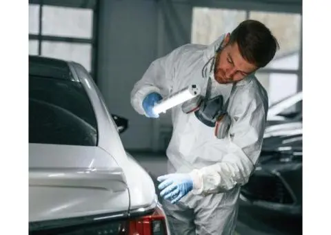 Professional Car Mould Removal in Sydney for a Fresh - 3/4