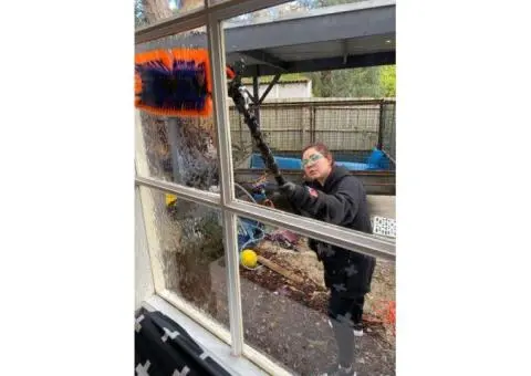 Professional Window Cleaning Service in Richmond – Clean House Melbourne - 2/2