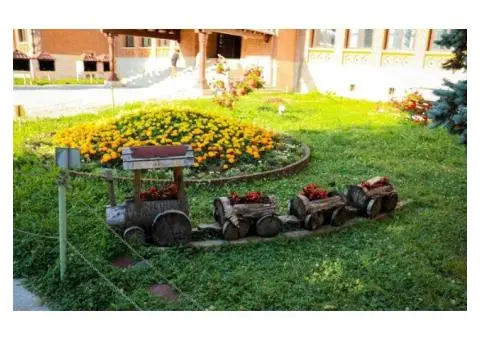 Keep Your Yard Looking Sharp with Garden Maintenance Mt Gambier