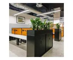 Reliable Brisbane Electrical Services for Every Need