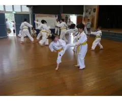 Master the Art of Discipline and Fitness with Taekwondo Arncliffe