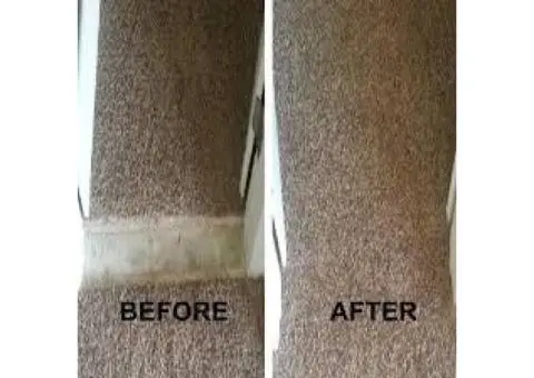 Professional Carpet Repair Sunshine Coast – Restore Your Carpets with Ease