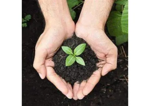 Organic Fertiliser for Sale – Eco-Friendly Farming with Soil Dynamics