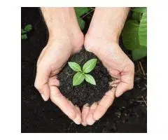 Organic Fertiliser for Sale – Eco-Friendly Farming with Soil Dynamics