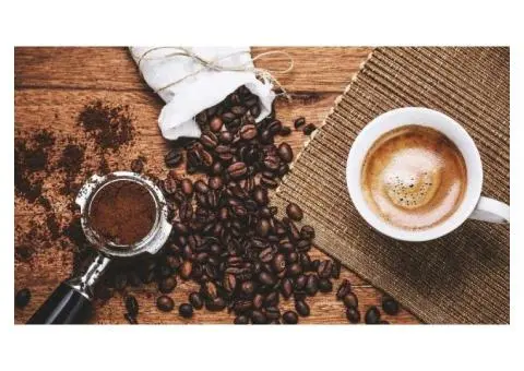 Melbourne's Coffee Sanctuary: The Experience at Rocksalt Cafe