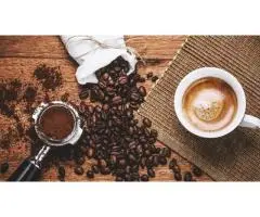 Melbourne's Coffee Sanctuary: The Experience at Rocksalt Cafe