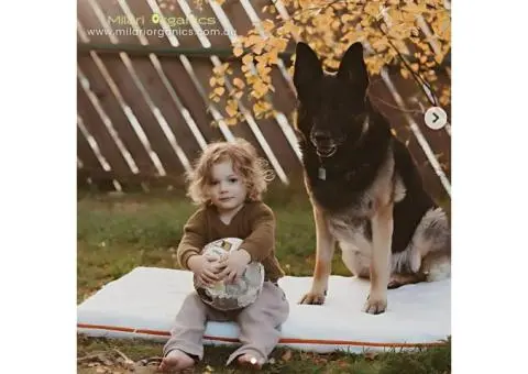 Baby Cot Mattress Australia| Buy Online with Milari Organics - Brisbane - 3/3