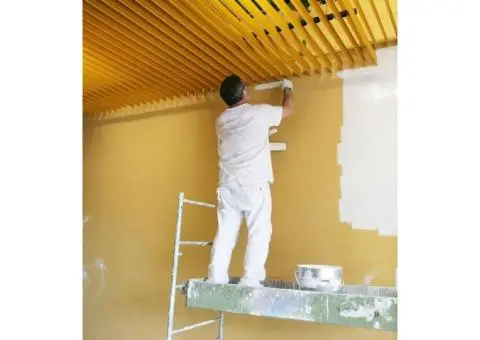 Professional Commercial Painter in Perth - 2/2