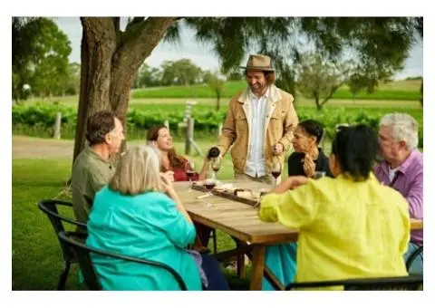 Timeless Vines and Modern Palates: Exploring Distinguished Wineries in McLaren Vale