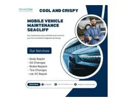 Mobile Car Servicing Seacliff