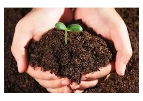 Raise pH in soil Melbourne