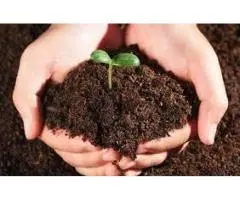 Raise pH in soil Melbourne