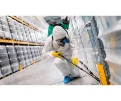 Termite Inspection Canberra | Tom's Pest Control Canberra