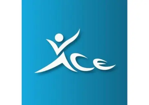 Ace Volleyball Academy