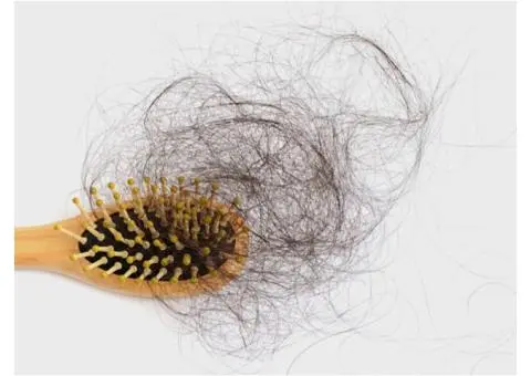 Ayurvedic treatment for hair-loss