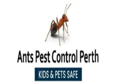 Ants Pest Control Perth